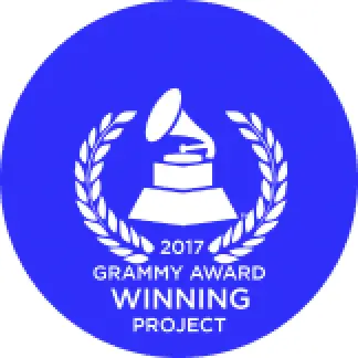 Grammy icon